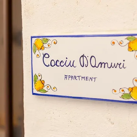 Appartamento Cocciu D'amuri *